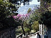 Capri Vista