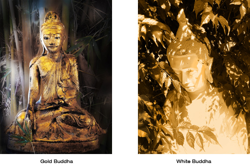 Two Buddhas