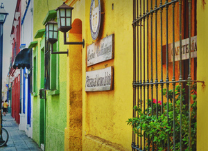 Oaxacan Colors